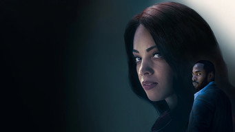 The Widow's Payback (2025)