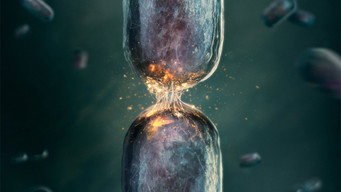 Evolution (2026- )
