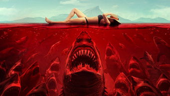 Galeria 1 - Shark Evil