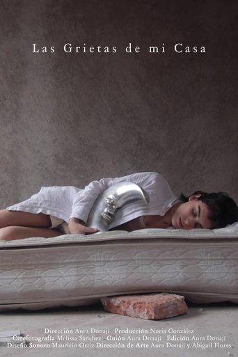 Las grietas de mi casa poster