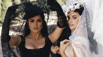 Galeria 2 - Bandidas