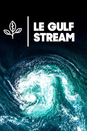 Le Gulf Stream poster