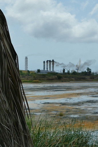 Geographies of Freedom poster