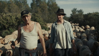 #9 Shepherds