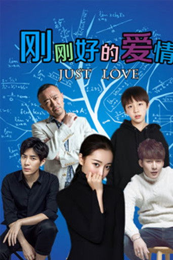 刚刚好的爱情 poster