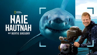 #21 Sharks Up Close with Bertie Gregory