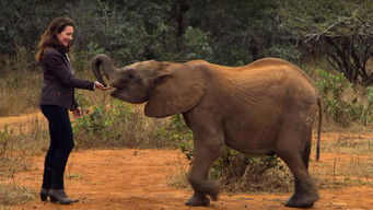 Galeria 3 - Safari por Navidad