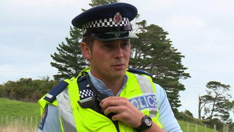 Highway Cops (2012- )