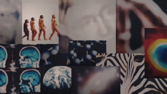 Escena 1 de Capture