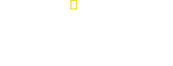 Witness to Disaster logo