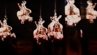 Леді Чорна троянда (1978)