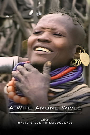 A Wife Among Wives (1981)