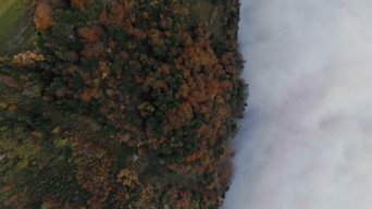 Sky Rides