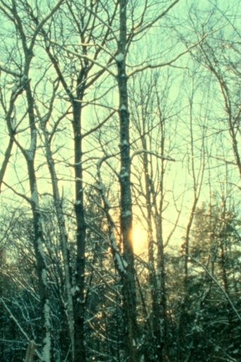 Winter Light (1970) Winter Light (1970)