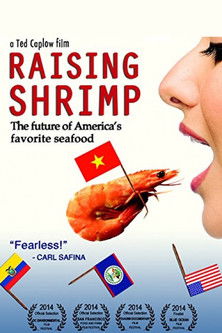 Raising Shrimp poster
