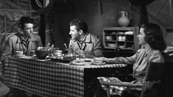 #5 The Macomber Affair