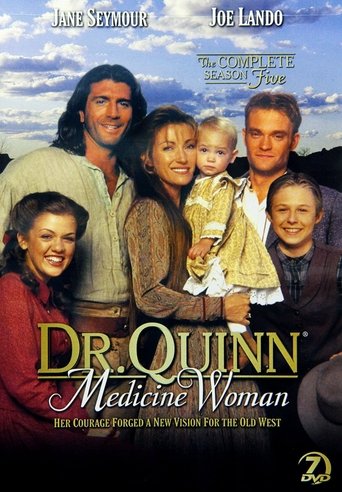 Dr. Quinn, Medicine Woman poster