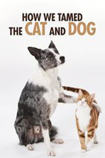 How We Tamed the Cat and Dog poster