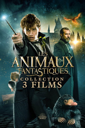 Les Animaux fantastiques - Saga