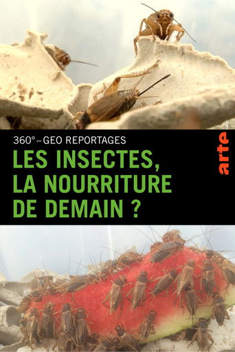 Les insectes, nourriture de demain ?