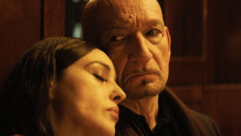 Galeria 3 - La trampa de la araña