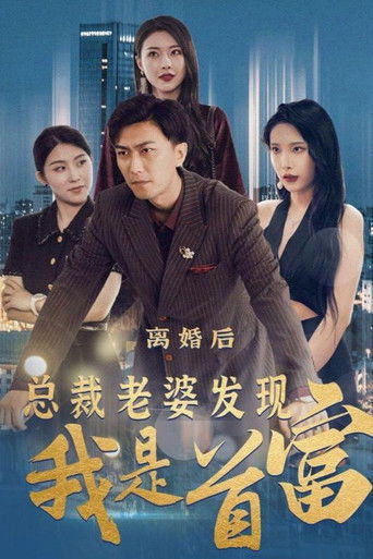 离婚后，总裁老婆发现我是首富 poster