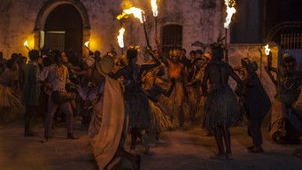 Galeria 3 - Insumisas