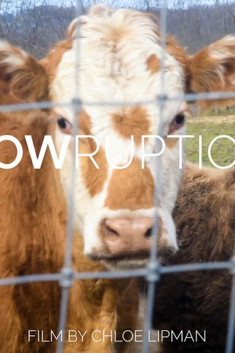 Cowruption poster