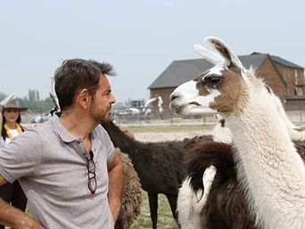 De viaje con los Derbez