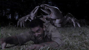 #3 Queen Crab