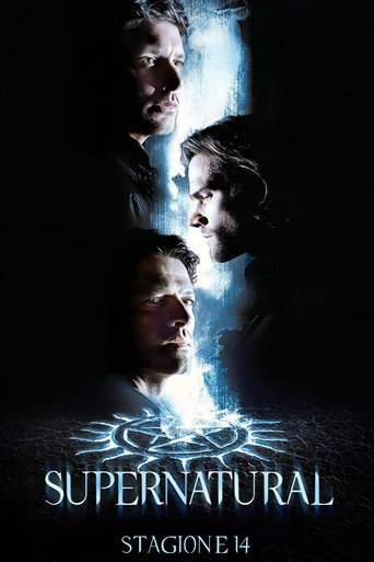 Poster Supernatural - Stagione 14