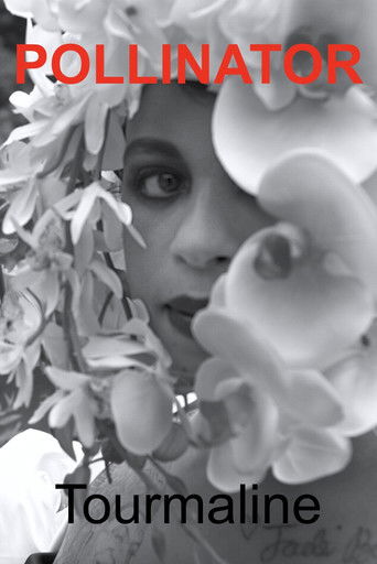 Pollinator (2023)
