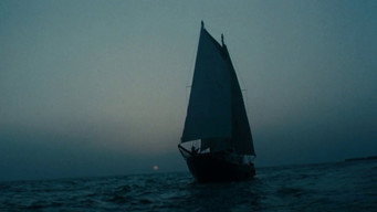 #7 Treasure Island