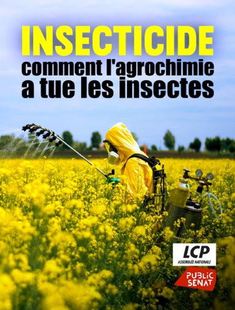 Poster 6