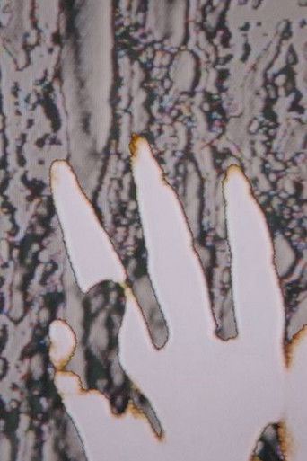 Looking for Love (1970)