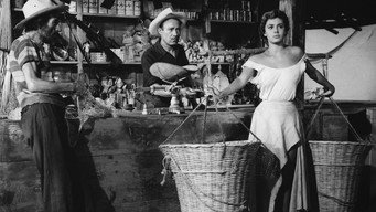 The Net (1953)