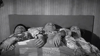 Cactus Makes Perfect (1942)