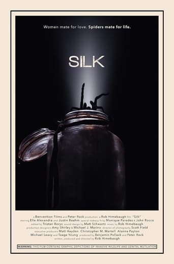 Poster för Silk