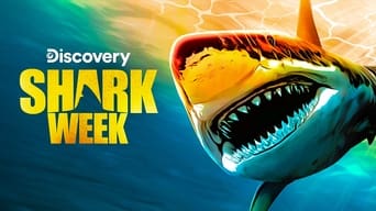 #15 Shark Week