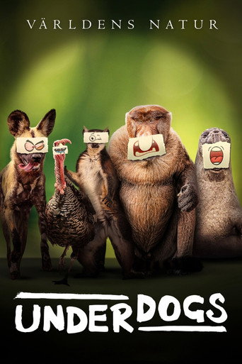 Underdogs affisch