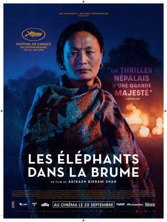 Les &Eacute;l&eacute;phants dans la brume (2026)