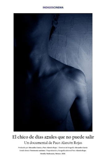 El chico de los días azules que no puede salir poster