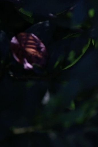 View Poster Image