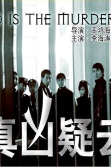 Who is the Murderer poster