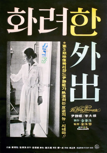 화려한 외출 (1978)