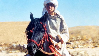 Повернення чорного скакуна (1983)
