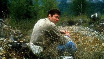 Boyhood Loves (2001)
