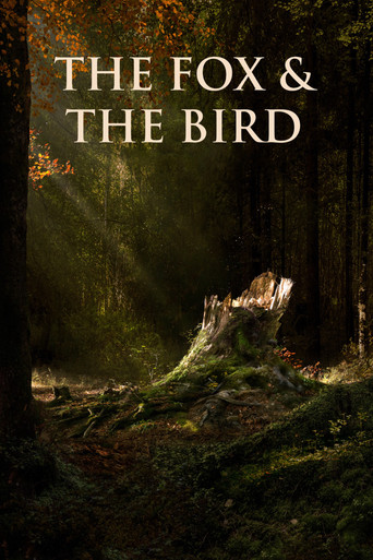 The Fox & the Bird