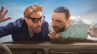 Ahmed & Ahmed (2025)