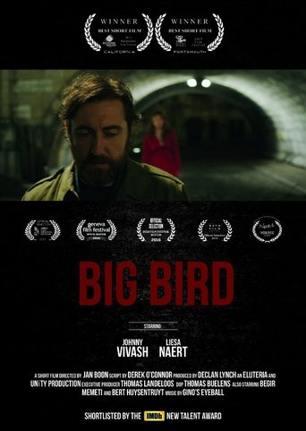 Big Bird (2015) Big Bird (2015)